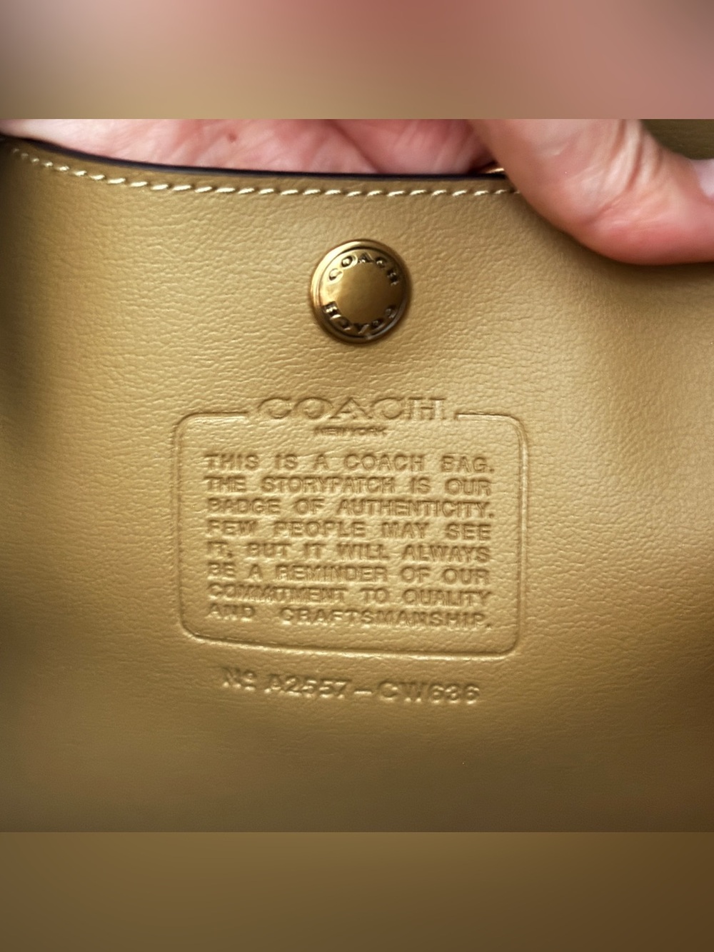 NWOT Coach Brooklyn Shoulder Bag 39 in Suede (Sand) CW636 - Picture 12 of 14